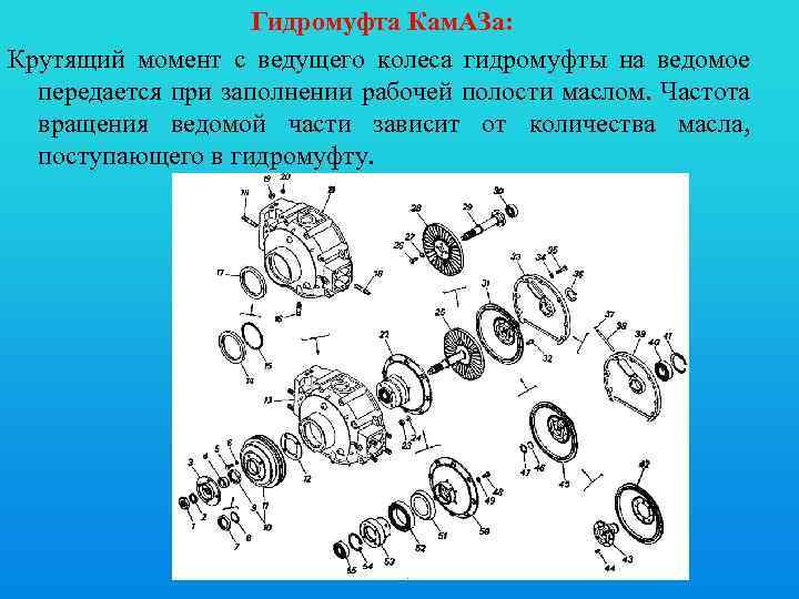 Гидромуфта Кам. АЗа: Крутящий момент с ведущего колеса гидромуфты на ведомое передается при заполнении