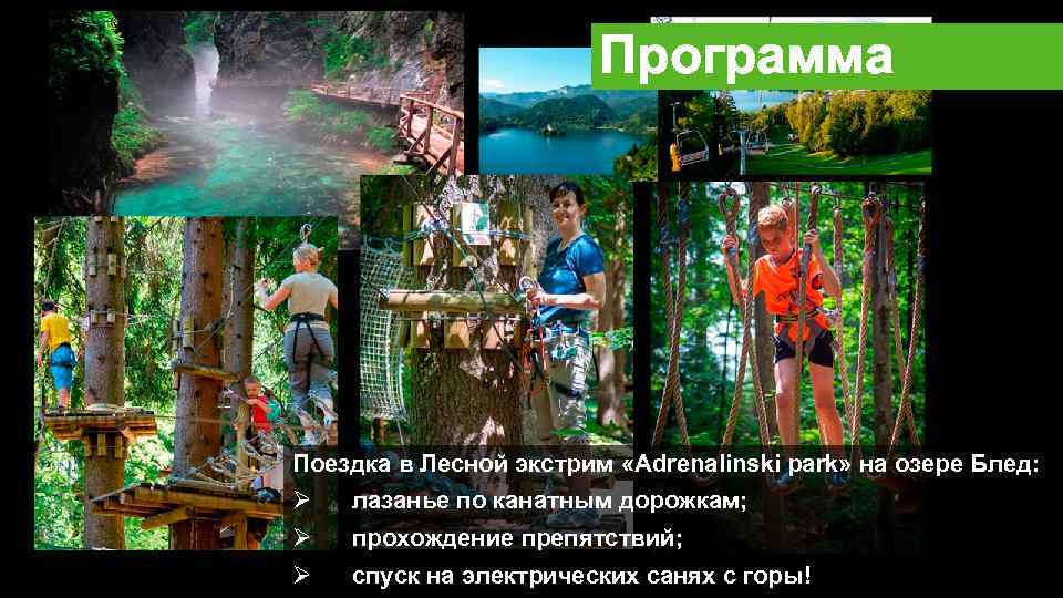 Программа Поездка в Лесной экстрим «Adrenalinski park» на озере Блед: Ø лазанье по канатным