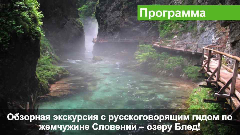 Программа Обзорная экскурсия с русскоговорящим гидом по жемчужине Словении – озеру Блед! 