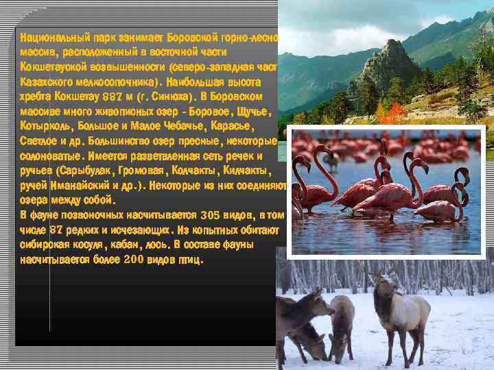 Национальный парк занимает Боровской горно-лесной массив, расположенный в восточной части Кокшетауской возвышенности (северо-западная часть
