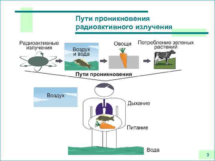 Пути проникновения радиоактивного излучения 3 