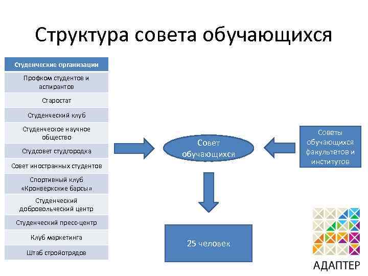 Структура совета