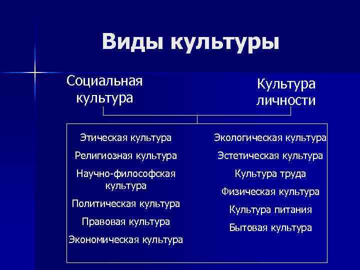 Виды культуры Социальная культура Культура личности Этическая культура Экологическая культура Религиозная культура Эстетическая культура