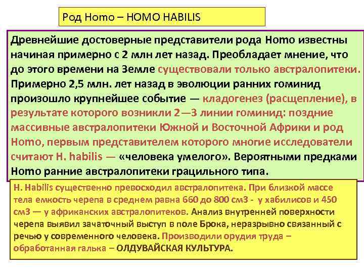 Роды homo