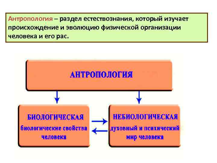 В каких областях происходит развитие