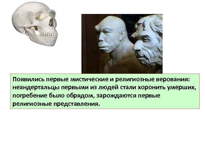 Появились первые мистические и религиозные верования: неандертальцы первыми из людей стали хоронить умерших, погребение