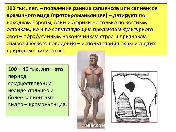 100 тыс. лет. – появление ранних сапиенсов или сапиенсов архаичного вида (протокроманьонцев) – датируют