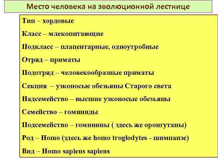 Место человека на эволюционной лестнице Тип – хордовые Класс – млекопитающие Подкласс – плацентарные,