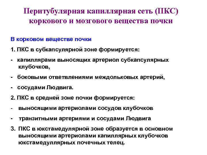 Перитубулярная капиллярная сеть (ПКС) коркового и мозгового вещества почки В корковом веществе почки 1.