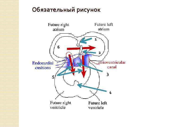 Обязательный рисунок 1 6 2 5 3 4 