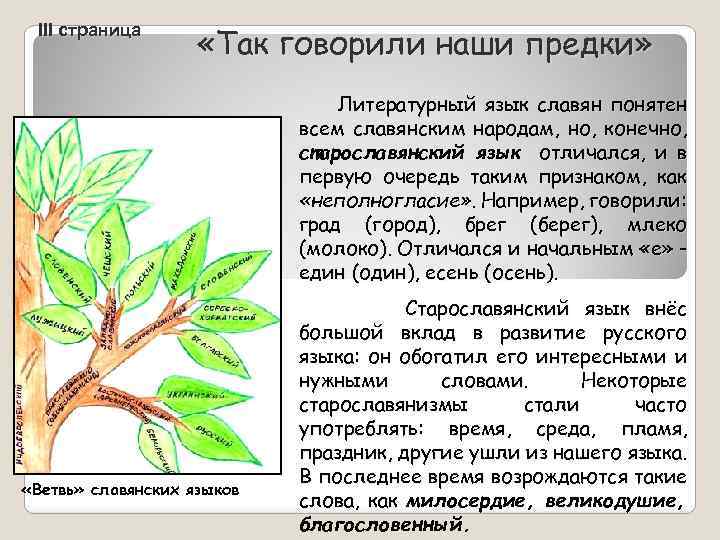 III страница «Так говорили наши предки» Литературный язык славян понятен всем славянским народам, но,