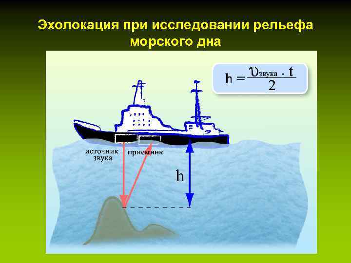 Эхолокация при исследовании рельефа морского дна 