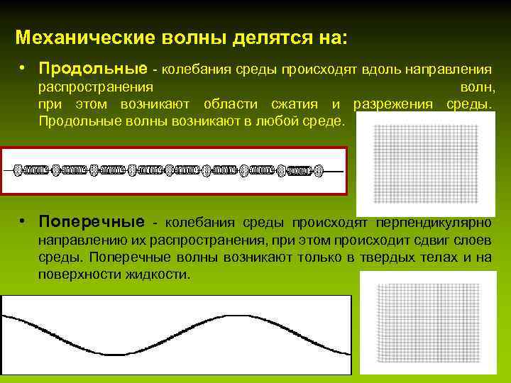 Распространение колебаний в среде волны. Механические волны. Механические волны делятся на. Продольные механические волны. Механические волны в природе.