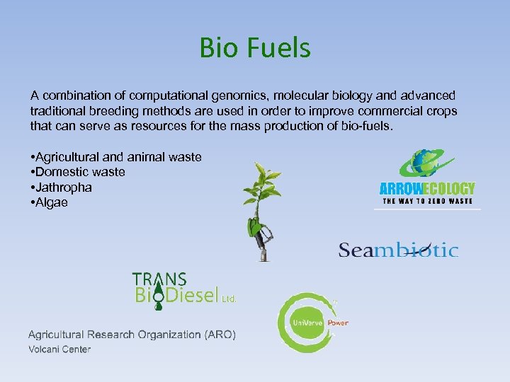 Bio Fuels A combination of computational genomics, molecular biology and advanced traditional breeding methods