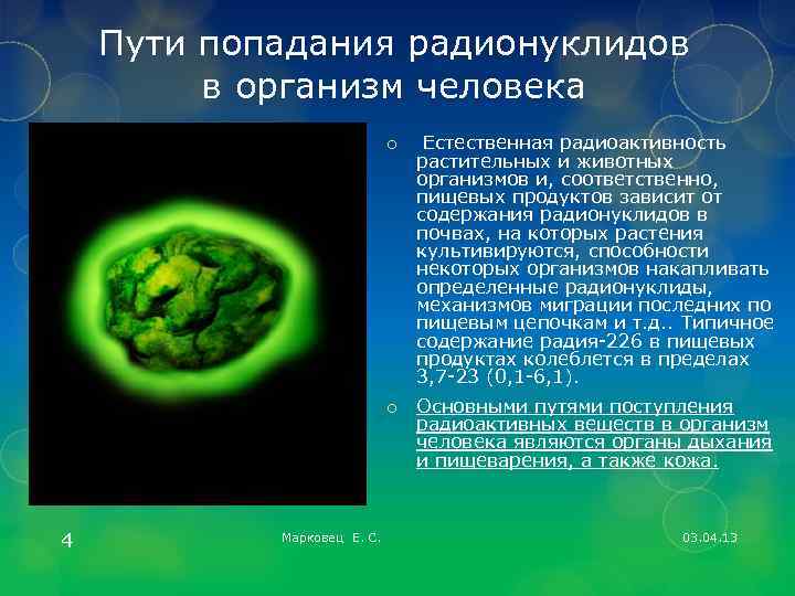 Пути попадания радионуклидов в организм человека o Естественная радиоактивность растительных и животных организмов и,