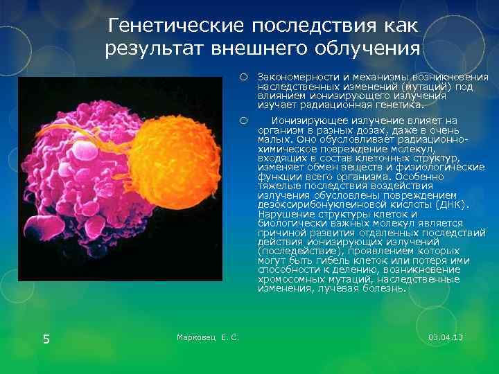 Генетические последствия как результат внешнего облучения Закономерности и механизмы возникновения наследственных изменений (мутаций) под