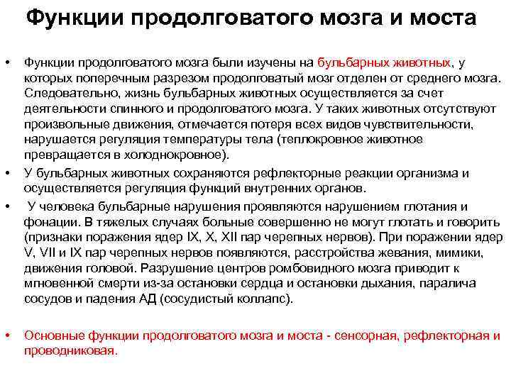 Функции продолговатого мозга и моста • • Функции продолговатого мозга были изучены на бульбарных