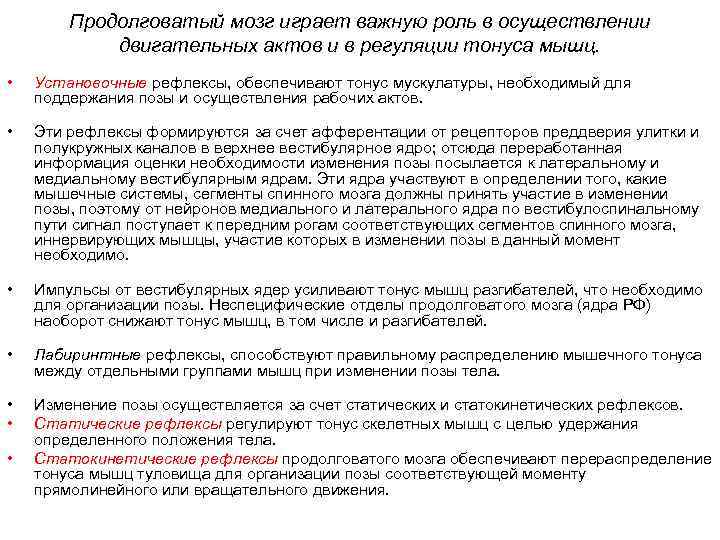 Продолговатый мозг играет важную роль в осуществлении двигательных актов и в регуляции тонуса мышц.