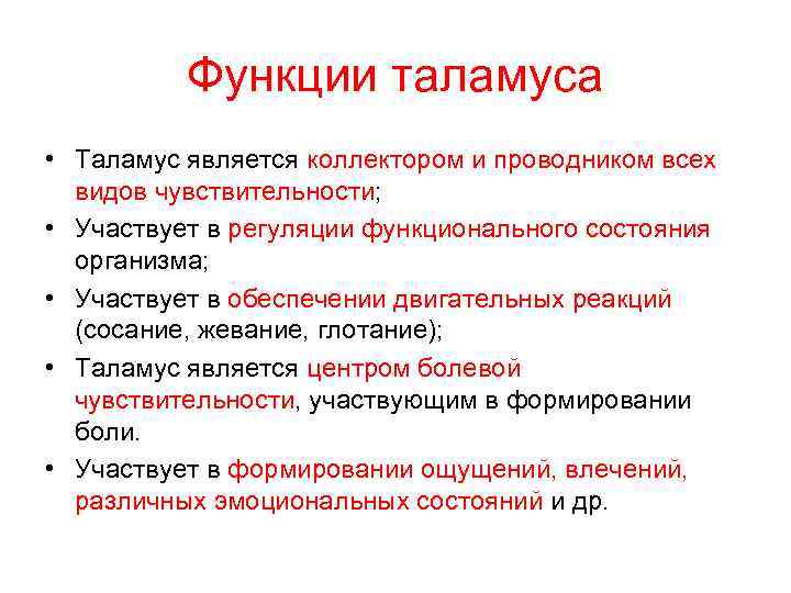 Таламус функции