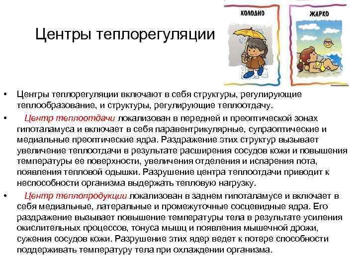  Центры теплорегуляции • • • Центры теплорегуляции включают в себя структуры, регулирующие теплообразование,