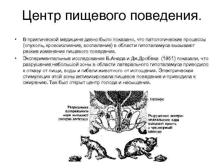 Центр пищевого поведения. • • В практической медицине давно было показано, что патологические процессы