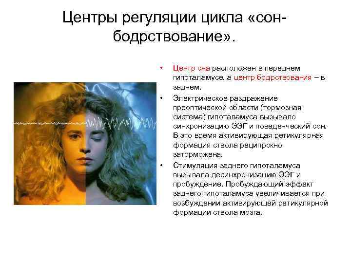 Центры регуляции цикла «сонбодрствование» . • • • Центр сна расположен в переднем гипоталамусе,