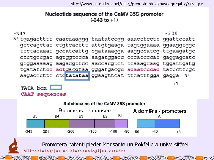 http: //www. patentlens. net/daisy/promoters/ext/navaggregator/navaggr. Promotera patenti pieder Monsanto un Rokfellera universitātei 