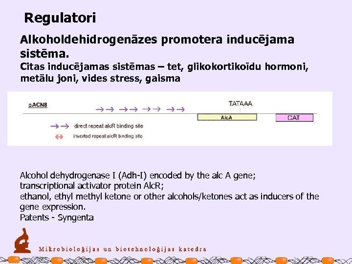 Regulatori Alkoholdehidrogenāzes promotera inducējama sistēma. Citas inducējamas sistēmas – tet, glikokortikoīdu hormoni, metālu joni,