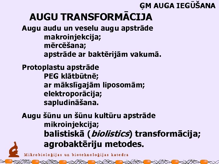 ĢM AUGA IEGŪŠANA AUGU TRANSFORMĀCIJA Augu audu un veselu augu apstrāde makroinjekcija; mērcēšana; apstrāde