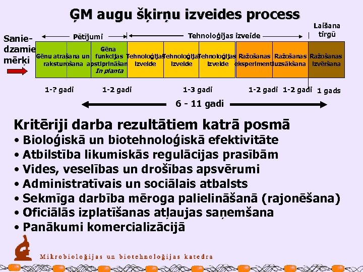 ĢM augu šķirņu izveides process Tehnoloģijas izveide Pētījumi Sanie. Gēna dzamie Gēnu atrašana un