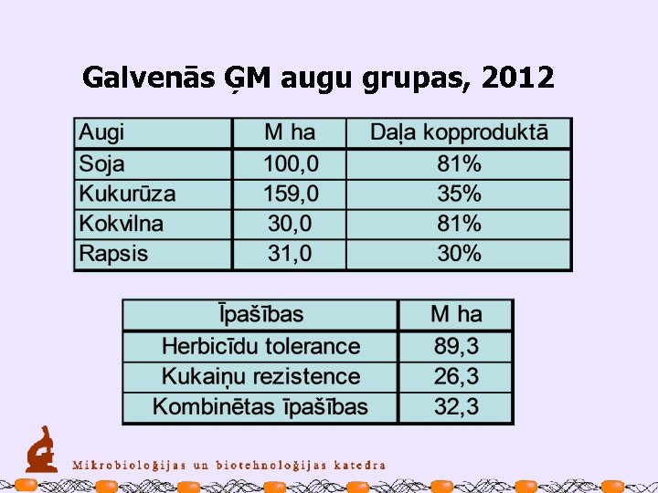 Galvenās ĢM augu grupas, 2012 