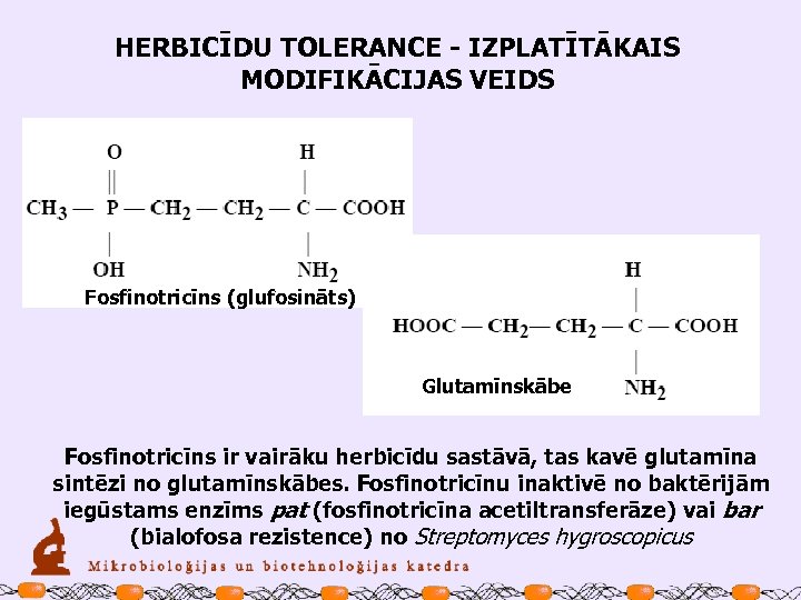 HERBICĪDU TOLERANCE - IZPLATĪTĀKAIS MODIFIKĀCIJAS VEIDS Fosfinotricīns (glufosināts) Glutamīnskābe Fosfinotricīns ir vairāku herbicīdu sastāvā,