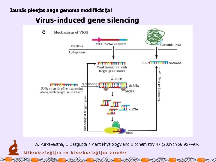 Jaunās pieejas augu genoma modifikācijai Virus-induced gene silencing A. Purkayastha, I. Dasgupta / Plant
