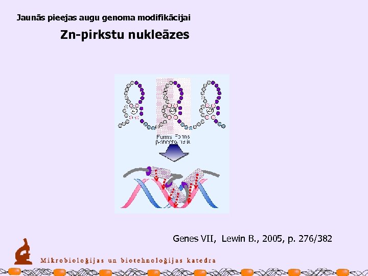 Jaunās pieejas augu genoma modifikācijai Zn-pirkstu nukleāzes Genes VII, Lewin B. , 2005, p.