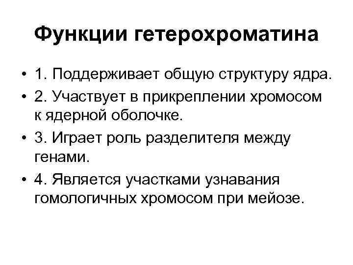 Функции гетерохроматина • 1. Поддерживает общую структуру ядра. • 2. Участвует в прикреплении хромосом