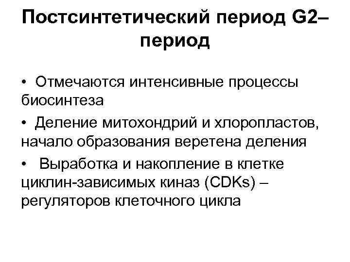 Постсинтетический период G 2– период • Отмечаются интенсивные процессы биосинтеза • Деление митохондрий и