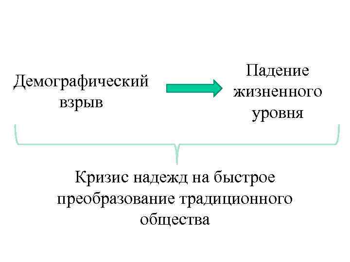 Демографический взрыв Падение жизненного уровня Кризис надежд на быстрое преобразование традиционного общества 