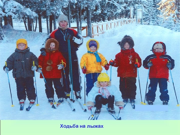 Ходьба на лыжах 