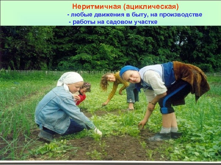 Неритмичная (ациклическая) - любые движения в быту, на производстве - работы на садовом участке