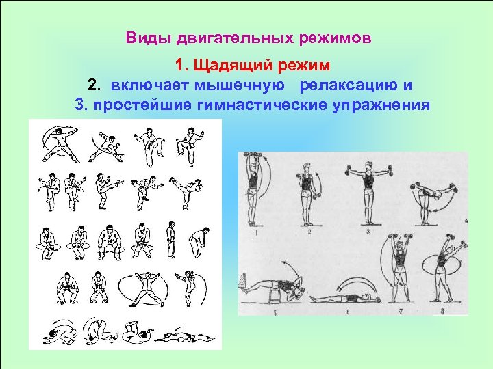 Режимы физической двигательной активности пациента схема