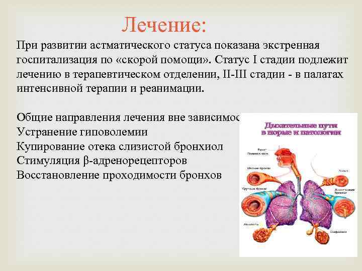 Лечение: При развитии астматического статуса показана экстренная госпитализация по «скорой помощи» . Статус I