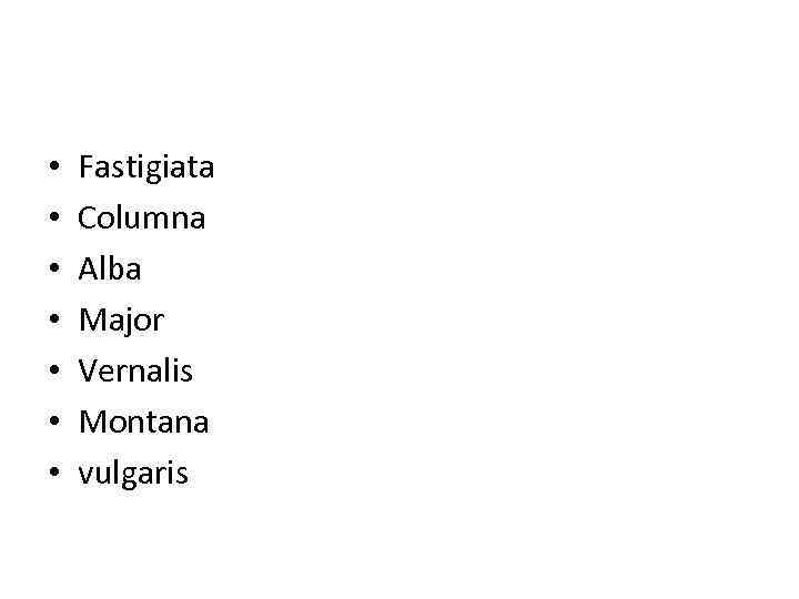  • • Fastigiata Columna Alba Major Vernalis Montana vulgaris 