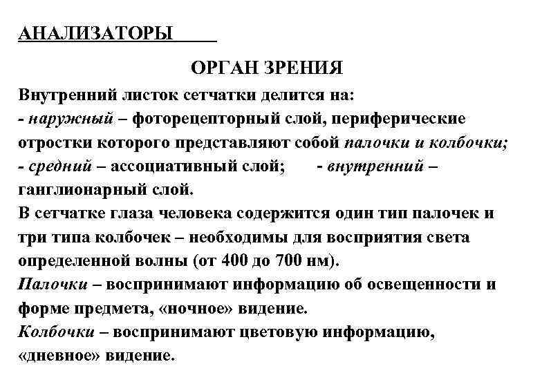 АНАЛИЗАТОРЫ ОРГАН ЗРЕНИЯ Внутренний листок сетчатки делится на: - наружный – фоторецепторный слой, периферические