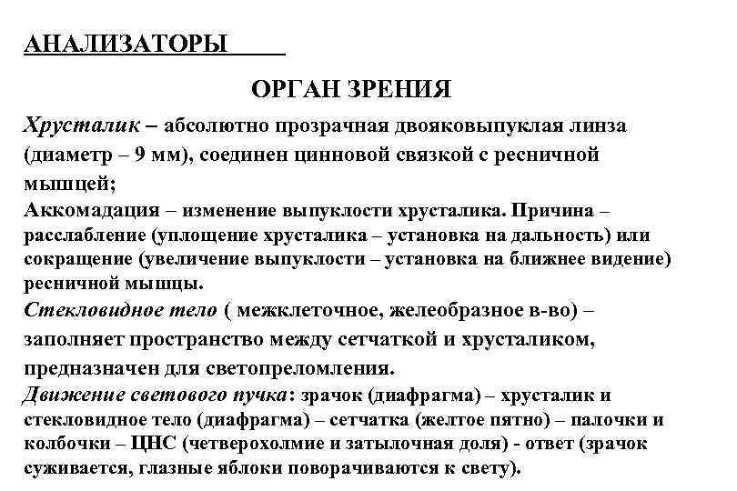 АНАЛИЗАТОРЫ ОРГАН ЗРЕНИЯ Хрусталик – абсолютно прозрачная двояковыпуклая линза (диаметр – 9 мм), соединен