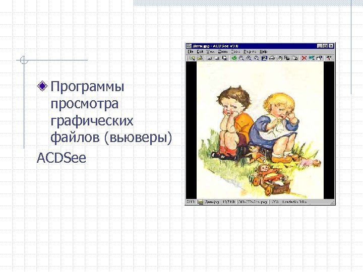 Программы просмотра графических файлов (вьюверы) ACDSee 