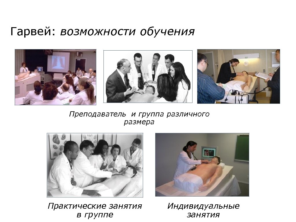 Гарвей: возможности обучения Преподаватель и группа различного размера Практические занятия в группе Индивидуальные занятия