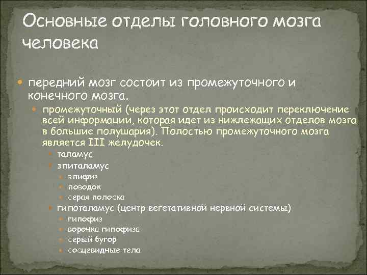 Основные отделы головного мозга человека передний мозг состоит из промежуточного и конечного мозга. промежуточный