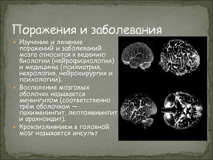 Поражения и заболевания Изучение и лечение поражений и заболеваний мозга относится к ведению биологии