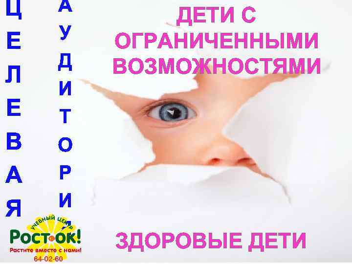 Ц Е Л Е В А Я А У Д И Т О Р