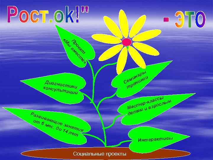 к т те о е ес П р вм ы «М » Д и